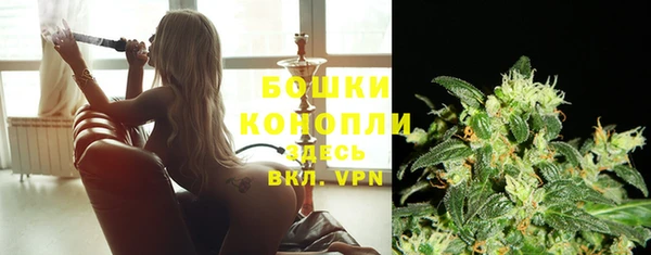 ГАЛЛЮЦИНОГЕННЫЕ ГРИБЫ Краснослободск