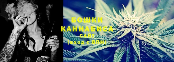 ГАЛЛЮЦИНОГЕННЫЕ ГРИБЫ Краснослободск