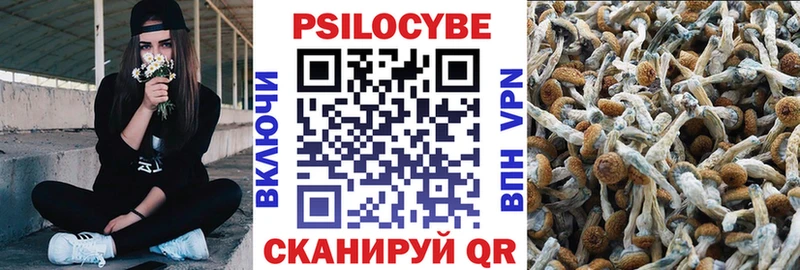 наркота  Новая Усмань  Галлюциногенные грибы мухоморы 
